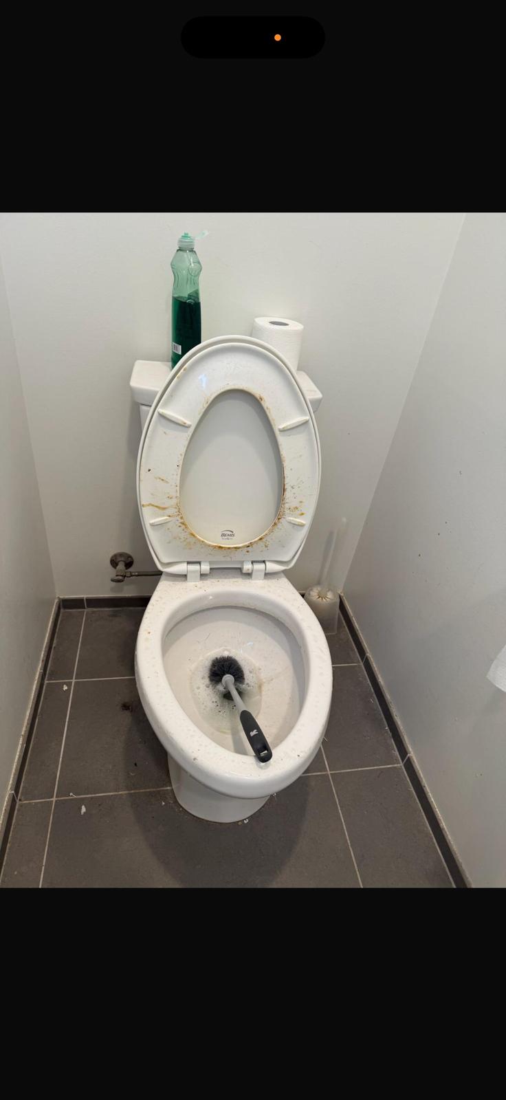 Before — Toilet & base